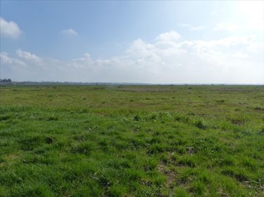 Terrains de loisirs bois etangs a vendre Saint-André-de-Bohon 50500 Manche 29045 m2  74320 euros