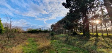 Terrains de loisirs bois etangs a vendre Landunvez 29840 Finistère 2772 m2  28000 euros