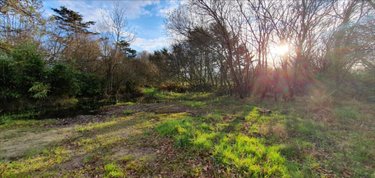 Terrains de loisirs bois etangs a vendre Landunvez 29840 Finistère 2772 m2  28000 euros