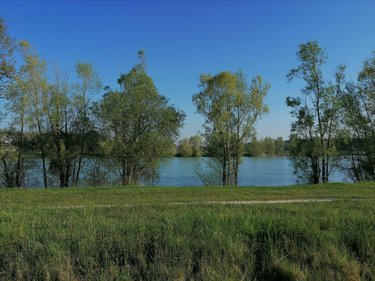 Maison a vendre La Celle-Saint-Avant 37160 Indre-et-Loire 118 m2 6 pièces 162750 euros