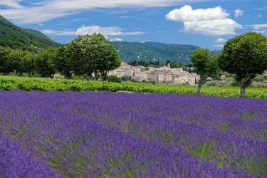 Fonds et murs commerciaux a vendre Montélimar 26200 Drôme 800 m2  1100000 euros