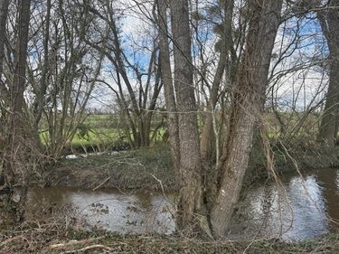 Bien agricole a vendre Cuves 50670 Manche  5300 euros