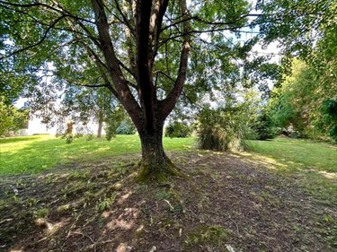Maison a vendre Saint-Sauveur-le-Vicomte 50390 Manche 121 m2 8 pièces 242000 euros
