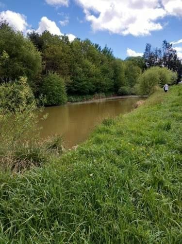 Terrains de loisirs bois etangs a vendre La Pellerine 53220 Mayenne 4014 m2  25000 euros