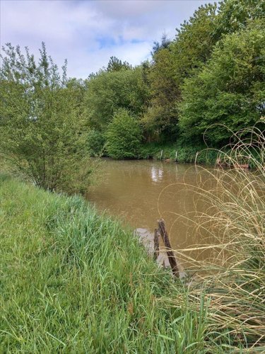 Terrains de loisirs bois etangs a vendre La Pellerine 53220 Mayenne 4014 m2  25000 euros