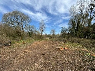 Maison a vendre Néhou 50390 Manche 100 m2 4 pièces 158160 euros