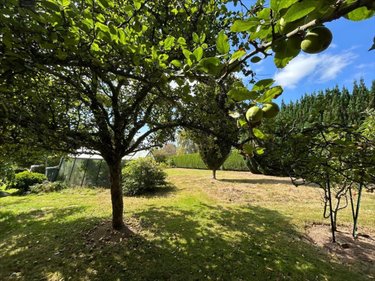 Maison a vendre Martinvast 50690 Manche 219 m2 7 pièces 420160 euros