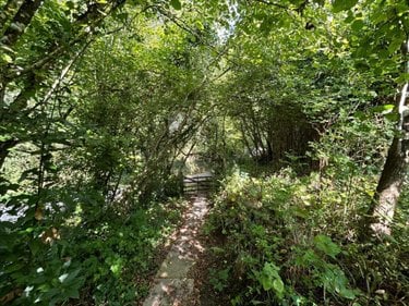 Terrains de loisirs bois etangs a vendre Saint-Sauveur-le-Vicomte 50390 Manche 698 m2  7600 euros