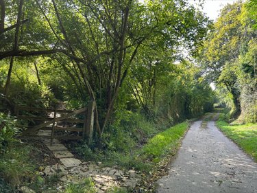 Terrains de loisirs bois etangs a vendre Saint-Sauveur-le-Vicomte 50390 Manche 698 m2  7600 euros