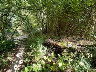 Terrains de loisirs bois etangs a vendre Saint-Sauveur-le-Vicomte 50390 Manche 698 m2  7600 euros