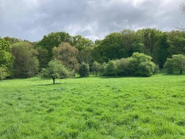 Terrain a batir a vendre Grand-Bourgtheroulde 27520 Eure 1800 m2  147000 euros