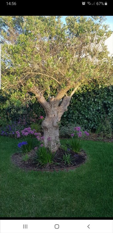 Maison a vendre Beuvrequen 62250 Pas-de-Calais 130 m2 7 pièces 456750 euros