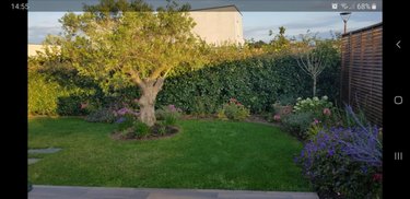 Maison a vendre Beuvrequen 62250 Pas-de-Calais 130 m2 7 pièces 456750 euros