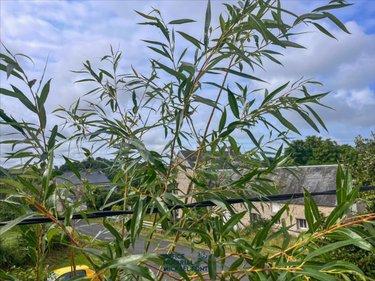 Maison a vendre Heugueville-sur-Sienne 50200 Manche 100 m2 4 pièces 262000 euros