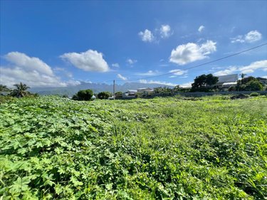 Terrain a batir a vendre Saint-Pierre 97410 Réunion 350 m2  139900 euros