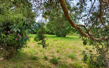 Maison a vendre Trébrivan 22340 Côtes-d'Armor 84 m2 5 pièces 84000 euros