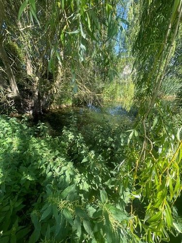 Terrain a batir a vendre Meung-sur-Loire 45130 Loiret 8863 m2  85000 euros