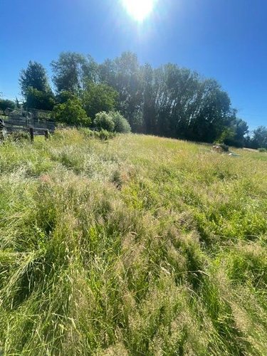 Terrain a batir a vendre Meung-sur-Loire 45130 Loiret 8863 m2  85000 euros