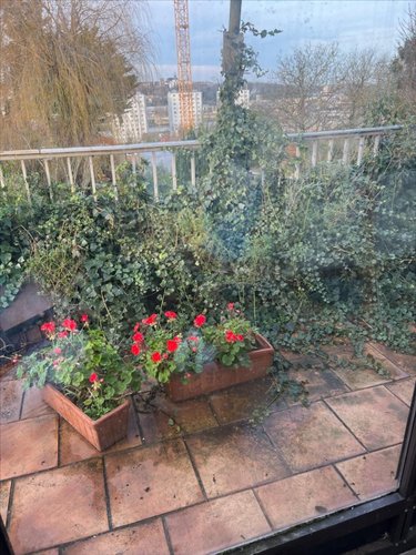 Maison a vendre Boulogne-sur-Mer 62200 Pas-de-Calais 66 m2 3 pièces 137800 euros