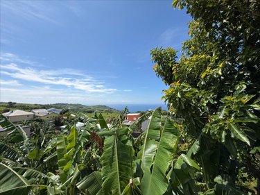 Maison a vendre Petite-Île 97429 Réunion 77 m2 4 pièces 376200 euros