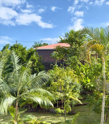 Maison a vendre Petite-Île 97429 Réunion 77 m2 4 pièces 376200 euros