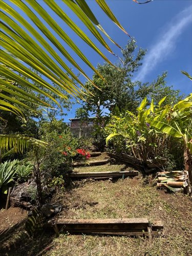 Maison a vendre Petite-Île 97429 Réunion 77 m2 4 pièces 376200 euros