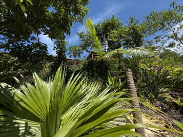 Maison a vendre Petite-Île 97429 Réunion 77 m2 4 pièces 376200 euros