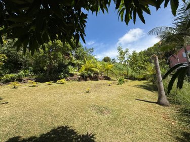 Maison a vendre Petite-Île 97429 Réunion 77 m2 4 pièces 376200 euros