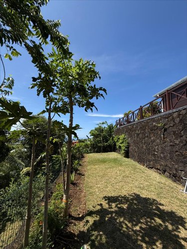 Maison a vendre Petite-Île 97429 Réunion 77 m2 4 pièces 376200 euros