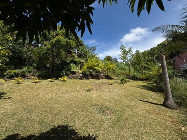Maison a vendre Petite-Île 97429 Réunion 77 m2 4 pièces 376200 euros