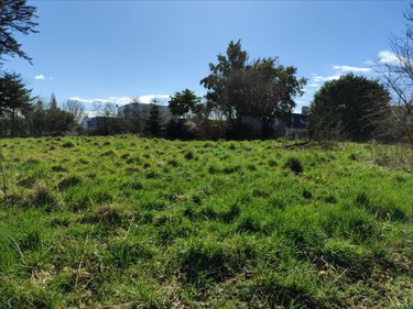 Terrain a batir a vendre Saint-Nicolas-de-Pierrepont 50250 Manche 700 m2  24656 euros