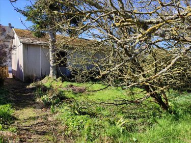 Terrain a batir a vendre Saint-Nicolas-de-Pierrepont 50250 Manche 700 m2  24656 euros