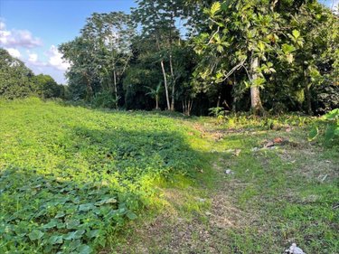 Terrain a batir a vendre Basse-Pointe 97218 Martinique 1898 m2  86000 euros