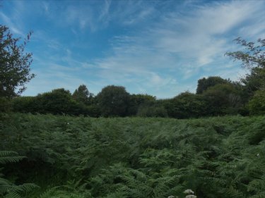 Terrain a batir a vendre Loqueffret 29530 Finistère 2660 m2  32000 euros