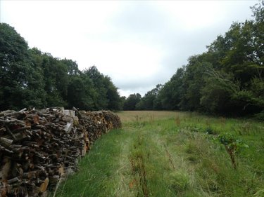 Terrain a batir a vendre Loqueffret 29530 Finistère 5920 m2  53000 euros