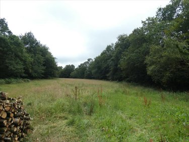 Terrain a batir a vendre Loqueffret 29530 Finistère 5920 m2  53000 euros