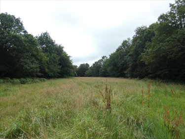 Terrain a batir a vendre Loqueffret 29530 Finistère 5920 m2  53000 euros