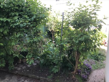 Maison a vendre Port-Louis 56290 Morbihan 45 m2 2 pièces 270400 euros