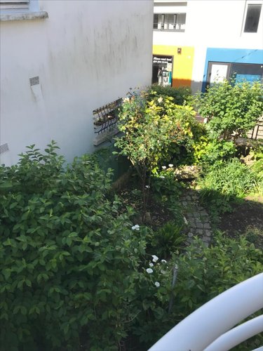 Maison a vendre Port-Louis 56290 Morbihan 45 m2 2 pièces 270400 euros