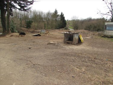Maison a vendre Saint-Maur-des-Bois 50800 Manche 100 m2 3 pièces 72572 euros