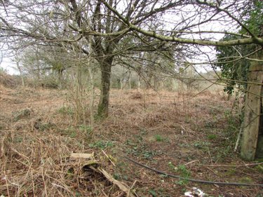 Maison a vendre Saint-Maur-des-Bois 50800 Manche 100 m2 3 pièces 72572 euros