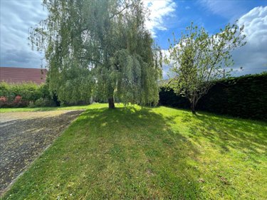 Maison a vendre Cour-Cheverny 41700 Loir-et-Cher 74 m2 4 pièces 208566 euros