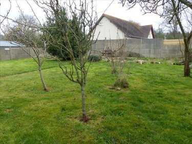 Maison a vendre La Haye 50250 Manche 88 m2 3 pièces 147686 euros