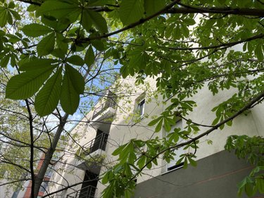 Appartement a vendre Lyon 8e Arrondissement 69008 Rhône 70 m2 3 pièces 325000 euros
