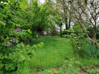 Maison a vendre Descartes 37160 Indre-et-Loire 253 m2 8 pièces 325500 euros