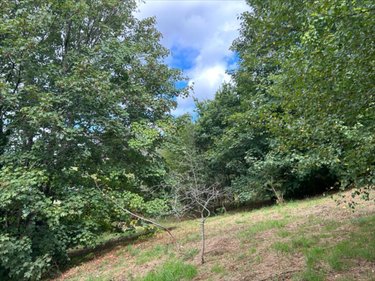 Terrain a batir a vendre Huelgoat 29690 Finistère 5950 m2  42500 euros