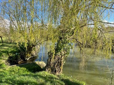 Maison a vendre Marans 17230 Charente-Maritime 89 m2 3 pièces 239200 euros