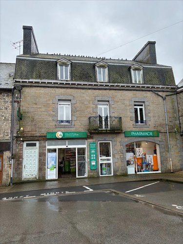Maison a vendre Rostrenen 22110 Côtes-d'Armor 291 m2 11 pièces 206700 euros