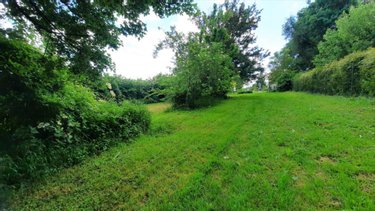 Terrain a batir a vendre Vicq-sur-Nahon 36600 Indre 1331 m2  11900 euros