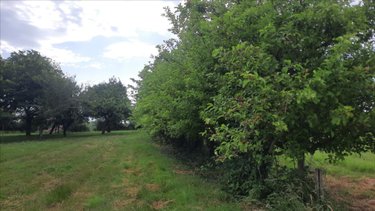 Maison a vendre Vicq-sur-Nahon 36600 Indre 70 m2 3 pièces 86000 euros
